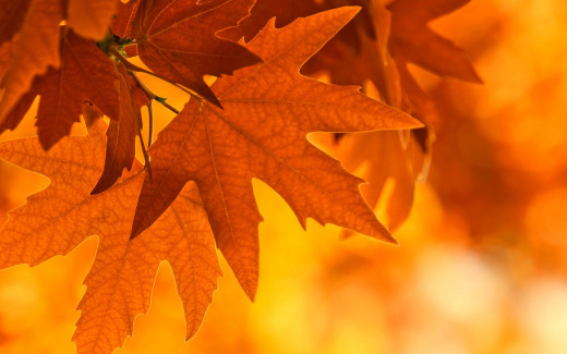 1016562 (a): :2560x1600